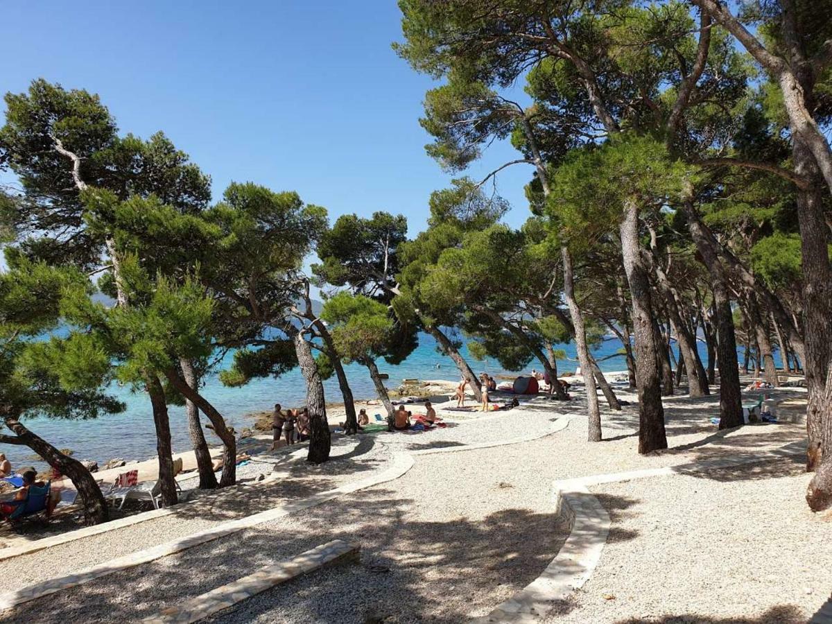 Mobile Home Starfish IV Camp Biograd Biograd Na Moru Εξωτερικό φωτογραφία